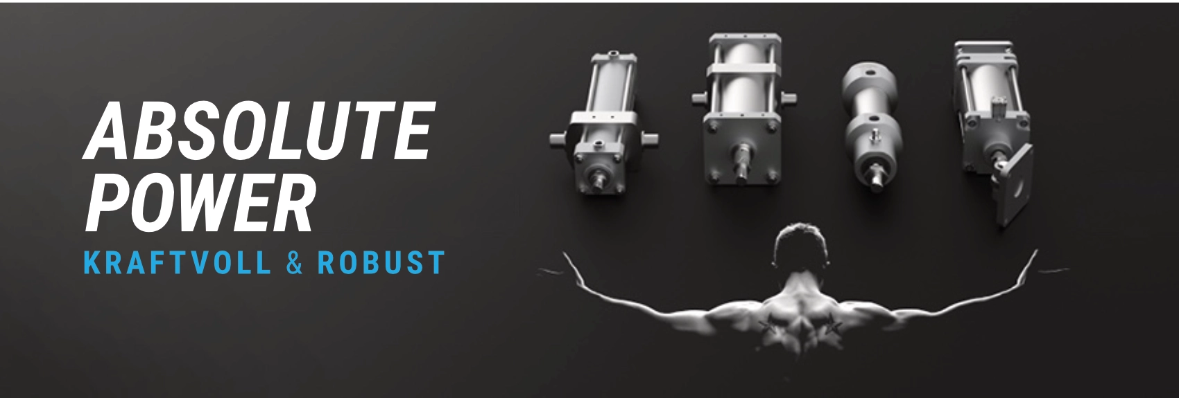 Pneumatikzylinder (Arbeitszylinder) für die Industrie