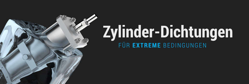 Zylinderdichtung (Metallschaber) mit Filz